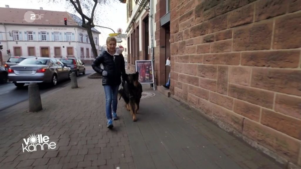 Susanne Nees &ndash; Assistenzhundezentrum Otzberg Hessen